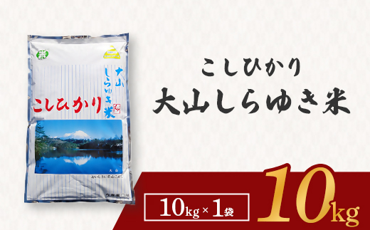 令和7年産 大山しらゆき米10kg（精白、コシヒカリ）