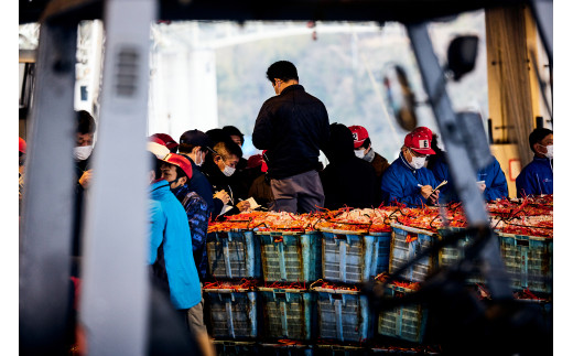 蟹屋の釜茹で紅ずわい蟹2杯セット（大）500～600ｇ×2杯