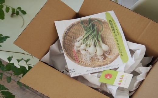 ガーリックスプラウトカレーお試しセット