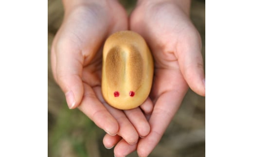 寿製菓のお菓子セット