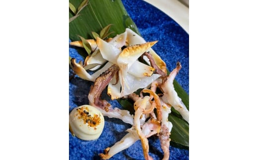 ノドグロ・白イカ入り干物セット（Eセット）【一夜干し】