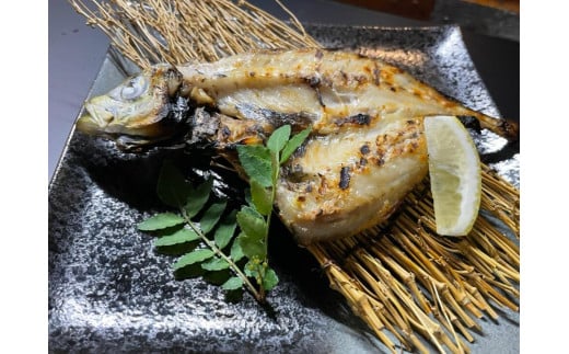 ノドグロ・白イカ入り干物セット（Dセット）【一夜干し】