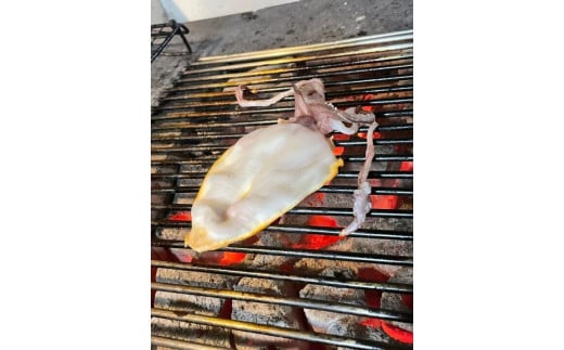 ノドグロ・白イカ入り干物セット（Eセット）【一夜干し】