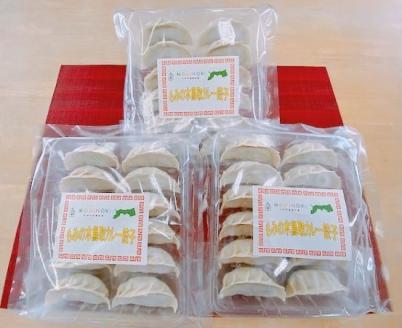 もみの木鳥取カレー餃子