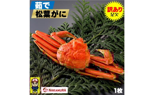 鳥取県産 訳あり茹で松葉がに　大1枚　足1本ナシ