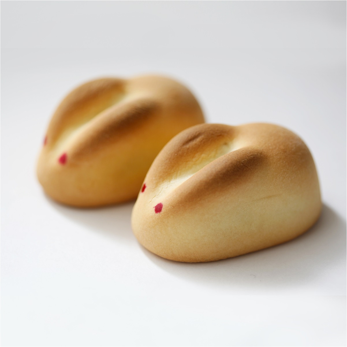 因幡の白うさぎ 20個入【寿製菓】