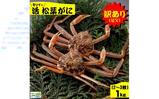 鳥取県産　訳あり（足欠け）活松葉がに１㎏（2~3枚）