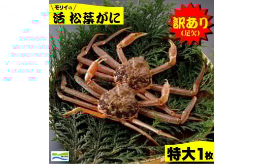 鳥取県産　訳あり（足欠け）活松葉がに（特大1枚）