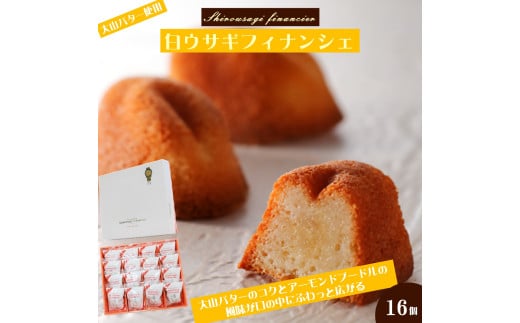 白ウサギフィナンシェ16個入