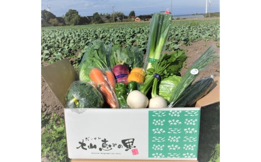 新鮮朝採れ野菜　お手頃セット