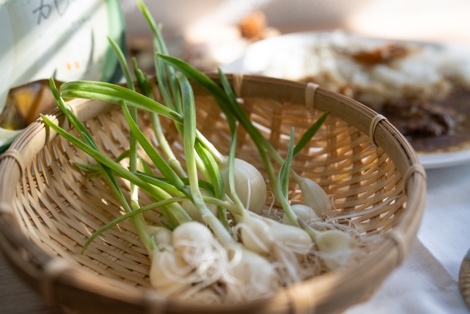 すぷらうとにんにくお試しセット