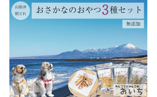 鳥取県米子市!山陰沖朝どれ鮮魚で作るわんことにゃんこのための贅沢3品詰め合わせ！