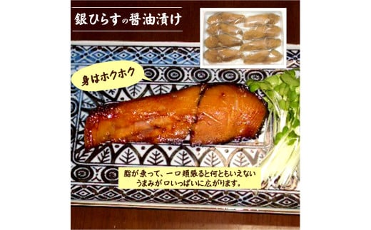 銀ひらす（沖ぶり）醤油漬８切入