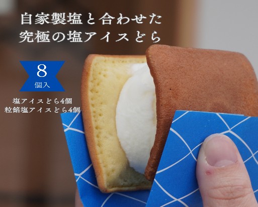 塩どら焼き専門店の塩アイスどら2種食べ比べ8個セット