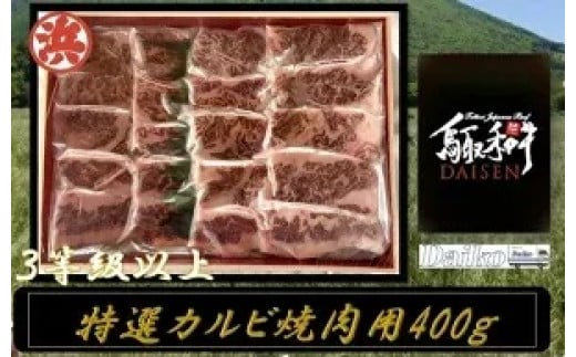 鳥取和牛DAISEN特選カルビ焼肉