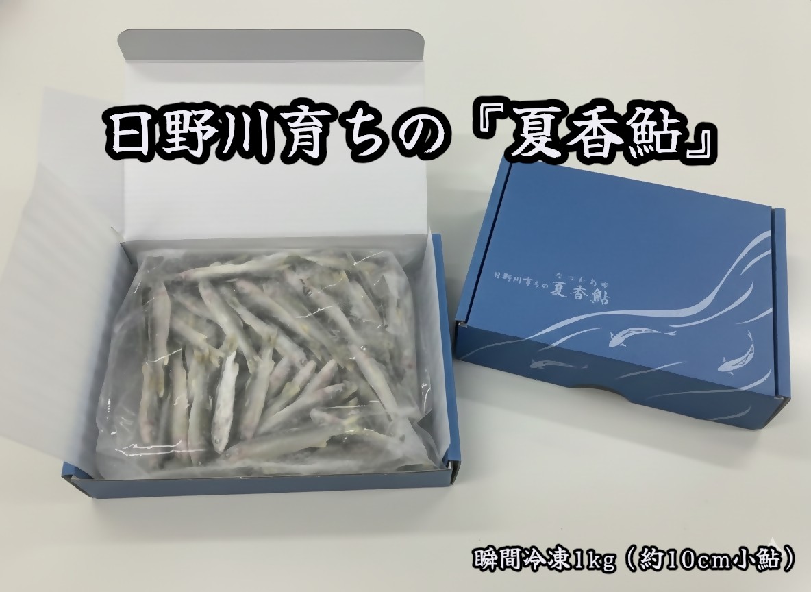 日野川育ちの「夏香鮎」瞬間冷凍１kg(約10cm小鮎）