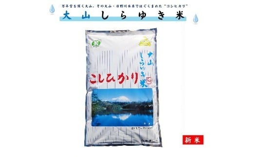 令和7年産 新米 大山しらゆき米10kg（精白、コシヒカリ）