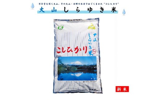 令和7年産 新米 大山しらゆき米10kg（精白、コシヒカリ）