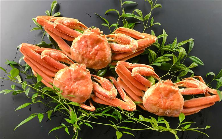 浜ゆで！松葉蟹(足折れ)1.0kg以上(2～3杯）