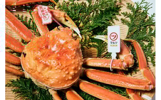 活〆ボイル松葉蟹　【マルツPREMIUM】　900ｇ～×1杯