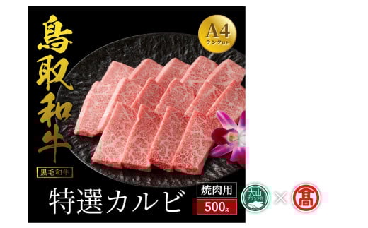＜だんだんキッチン＞鳥取和牛　特選カルビ（500g）（大山ブランド会）