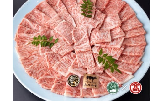 ＜皆生菊乃家＞鳥取和牛　A4ランク以上　サーロイン焼肉用（大山ブランド会）