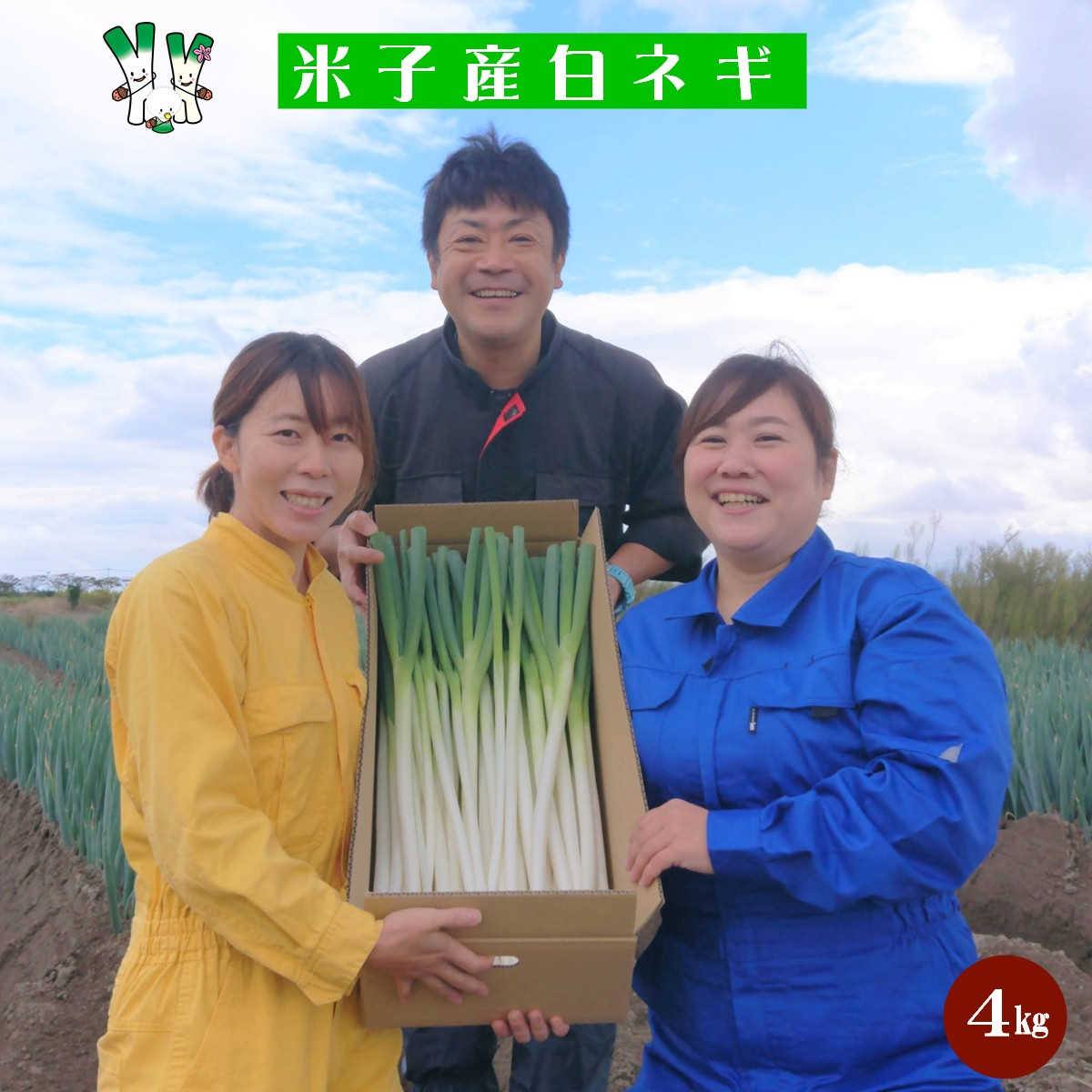 【先行予約】鳥取県産　白ネギの4kgバラ詰め合わせ