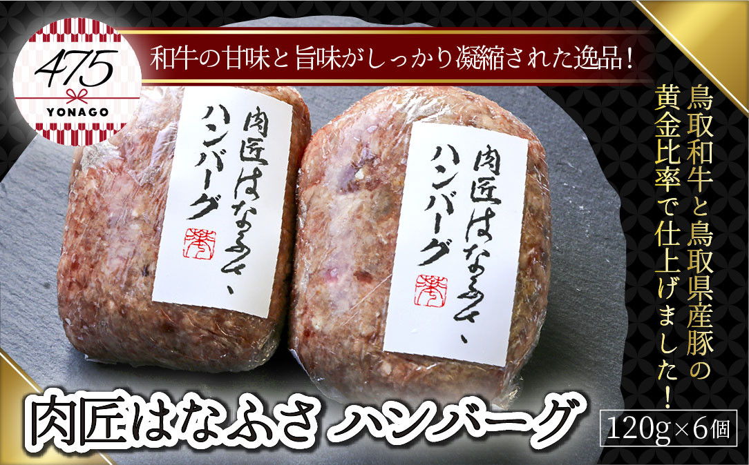 肉匠はなふさ ハンバーグ 120g×6個