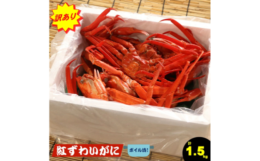【訳あり 数量限定 期間限定】　脚折れ紅ズワイガニ（合計1.5kg）