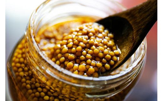 つぶつぶマスタードセット（110g×3） マスタード 粒マスタード セット 鳥取県 倉吉市