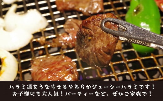 ちづや特製 自慢のタレ漬けハラミ （500g） 牛肉 ハラミ 焼肉 赤身 鳥取県 倉吉市
