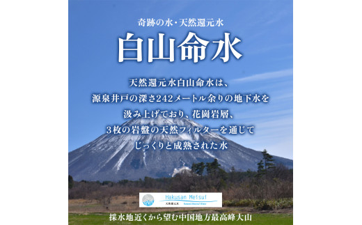 白山命水 セットD 12回定期便（10l×1箱） ミネラルウォーター 国産 人気 水 白山命水 天然水 定期 定期便