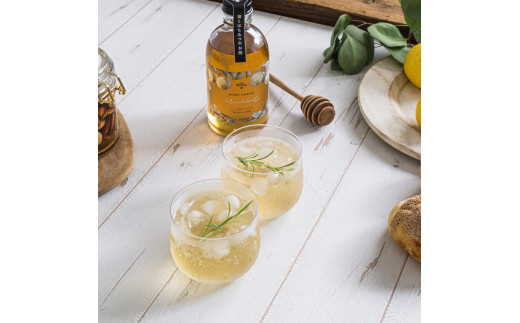 ハニービネガーモクテル　2本 はちみつ 酢 ビネガー 倉吉 倉吉市