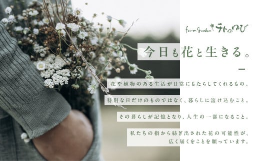 【チトのゆび】地元の花屋さんお薦めの多肉植物 Aセット 花 多肉 植物 おすすめ ギフト 鉢植え