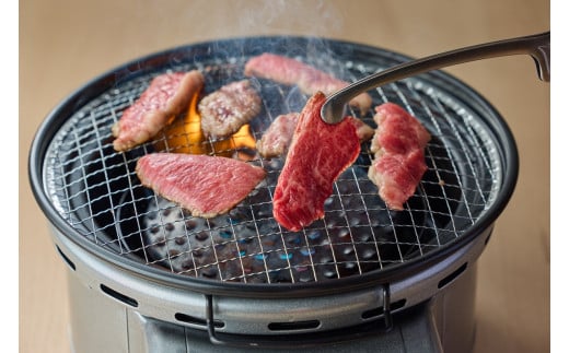 鳥取和牛 霜降りと赤身の焼肉盛り 600g 国産 牛肉 焼肉 赤身 霜降り ロース モモ バラ バーベキュー 和牛 黒毛和牛 ブランド牛 鳥取県 倉吉市 KR164