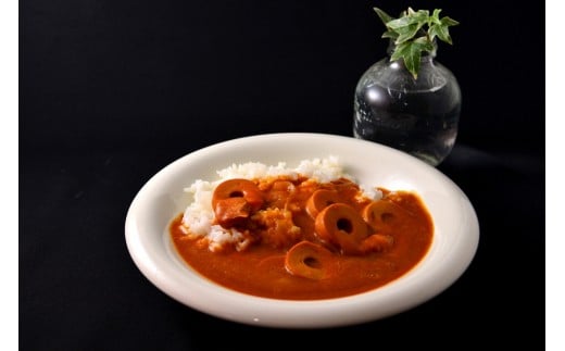 ひなビタ♪ちくわカレー10個セット 鳥取 とうふちくわ カレー レトルト