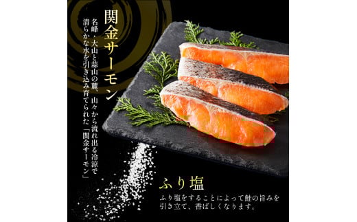 【1切れずつ真空冷凍】 関金サーモン ふり塩切り身 960g（60g×16切れ） マス トラウトサーモン 鮭 さけ シャケ 国産鮭 ふり塩鮭 鮭切身 サーモン 国産サーモン サーモン切身 養殖サーモン 真空冷凍 小分け