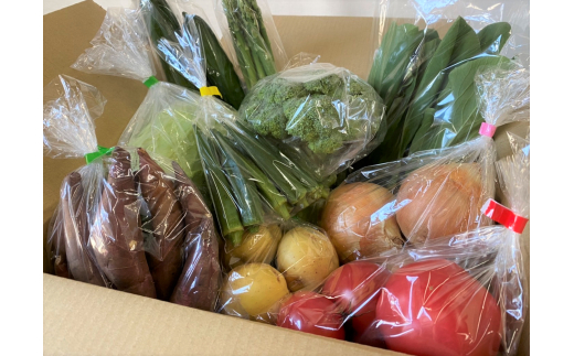 ※写真は一例です