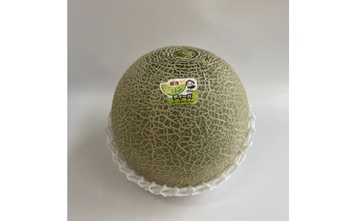 ディーバメロン【倉吉産】 約2.7kg （10月発送） 鳥取 果物 フルーツ メロン ディーバメロン 数量限定 期間限定 鳥取県 倉吉市