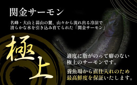 【真空冷凍】 関金サーモン ふり塩切り身 480g（60g×8切れ） マス トラウトサーモン 鮭 さけ シャケ 国産鮭 ふり塩鮭 鮭切身 サーモン 国産サーモン サーモン切身 養殖サーモン 真空冷凍