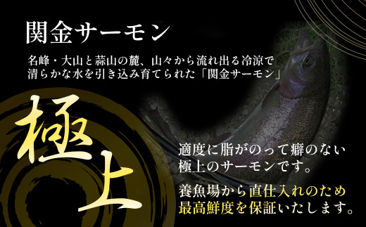 【真空冷凍】 関金サーモン ふり塩切り身 960g（60g×16切れ） マス トラウトサーモン 鮭 さけ シャケ 国産鮭 ふり塩鮭 鮭切身 サーモン 国産サーモン サーモン切身 養殖サーモン 真空冷凍