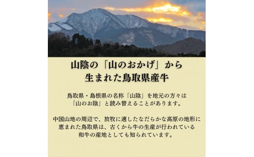 鳥取県産牛 ホホ肉 約300g 煮込み用 カット済み 国産 牛肉 希少 ほほ肉 煮込み 冷凍 鳥取県 倉吉市 KR1523