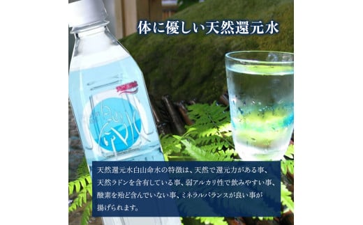 白山命水 セットD 3回定期便（10l×1箱） ミネラルウォーター 国産 人気 水 白山命水 天然水 定期 定期便