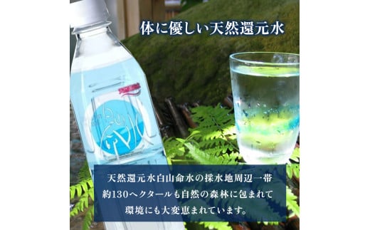 白山命水セットＢ（10リットル×2箱） ミネラルウォーター 国産 人気 水 白山命水 天然水