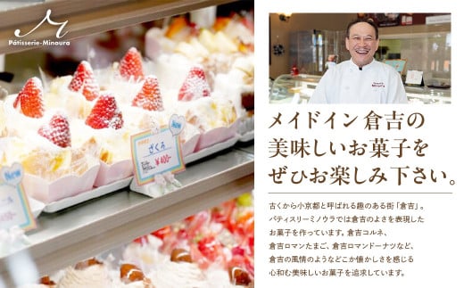 濃厚チーズケーキ チーズケーキ スイーツ 冷凍 鳥取県 倉吉市 濃厚 まろやか クリームチーズ 美味しい 誕生日 贈り物 手土産 贈答品 ケーキ