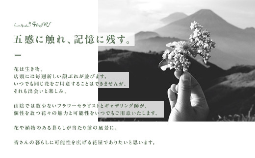 地元の花屋さんオススメの寄せ鉢 花 生花 お花 花束 ギフト 寄せ鉢 鳥取県 倉吉市