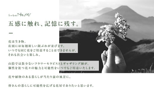 【チトのゆび】地元の花屋さんお薦めの多肉植物 Bセット 多肉植物 寄せ植え グリーン おまかせ 鳥取県 倉吉市