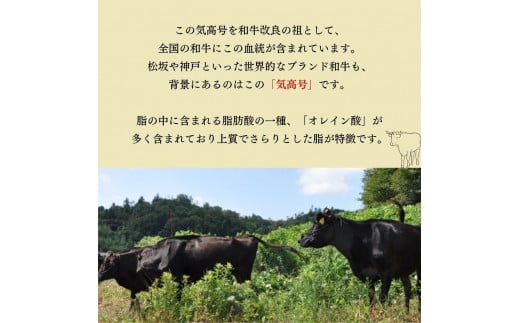 鳥取和牛 霜降りと赤身の焼肉盛り 300g 国産 牛肉 焼肉 赤身 霜降り ロース モモ バラ バーベキュー 和牛 黒毛和牛 ブランド牛 鳥取県 倉吉市 KR1057