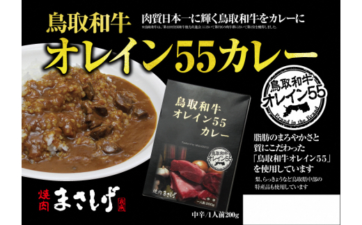 鳥取和牛オレイン55カレー5個セット 牛肉 和牛 肉 お肉 黒毛和牛 カレー レトルト 鳥取県倉吉市