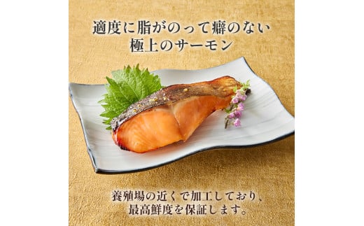 【1切れずつ真空冷凍】 関金サーモン 切り身 二段仕込み西京漬け 480g（60g×8切れ） マス トラウトサーモン 鮭 さけ シャケ 国産鮭 西京漬け鮭 鮭切身 サーモン 国産サーモン サーモン切身 養殖サーモン 真空冷凍 小分け